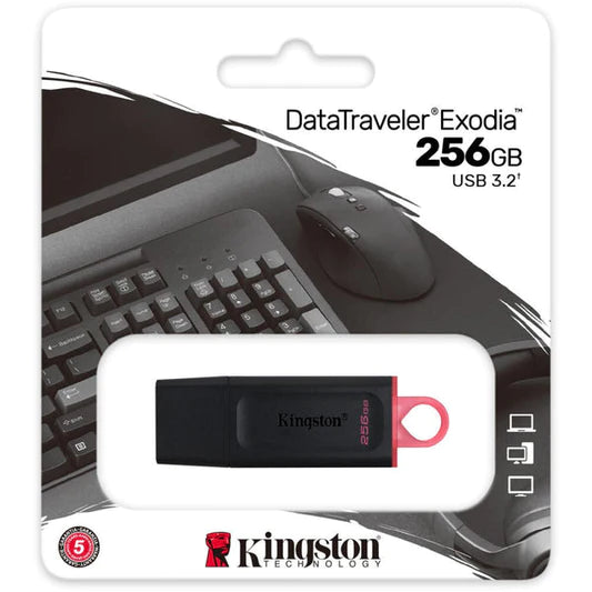 Kingston Flash Drive 256 GB